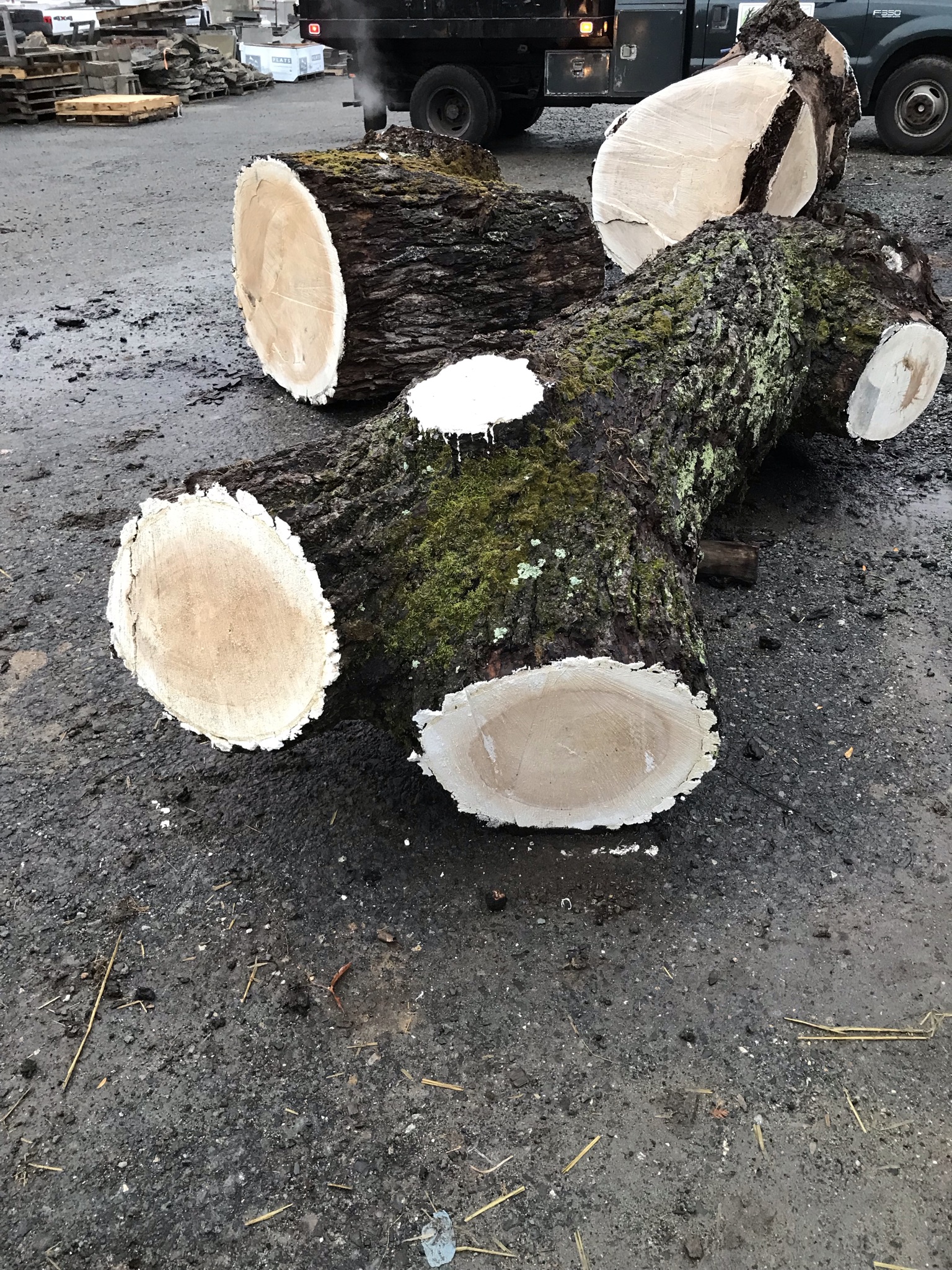 Custom lumber cutting service