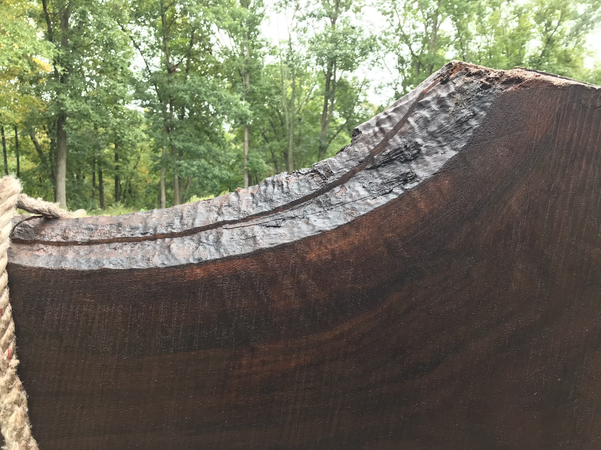 Cherry wood slab