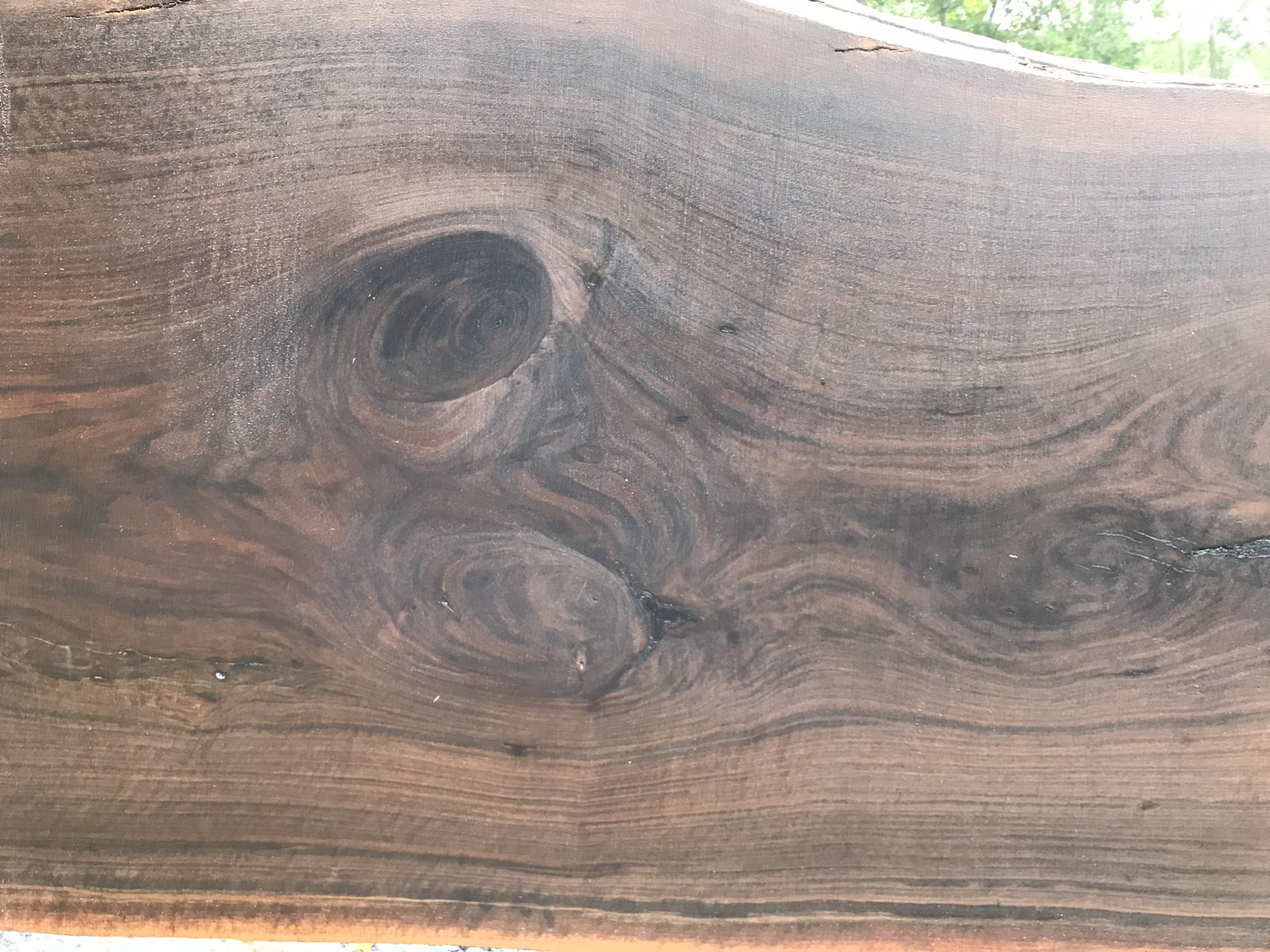 Large wood slab